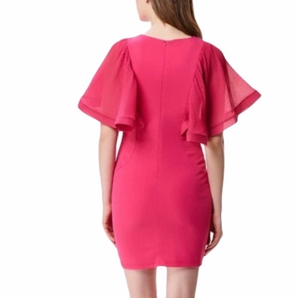 INA Fitter Mini Dress with Ruffle Sleeves - Picture 2 of 9